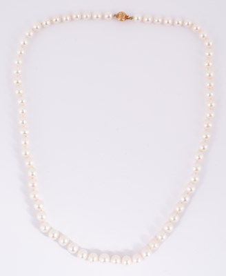 Lot 103 - A single row strand of cultured pearls