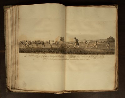 Lot 520 - [Law and Government]