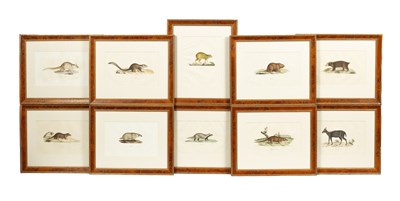 Lot 769 - Geoffroy-Stain-Hilaire (Estienne)