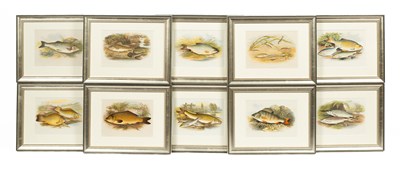 Lot 772 - After William Houghton