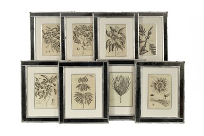 Lot 659 - Pierre Joseph Buchoz (1731-1807)