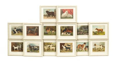 Lot 774 - Shaw (Vero)