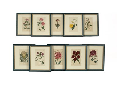 Lot 662 - After William Curtis (1746-1799)
