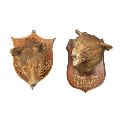 Lot 345 - Two taxidermy fox masks