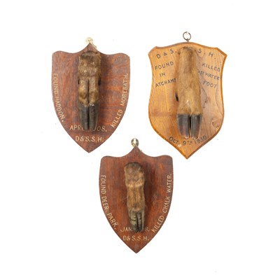 Lot 338 - Three taxidermy deer slots