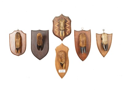 Lot 333 - A collection of six taxidermy deer slots