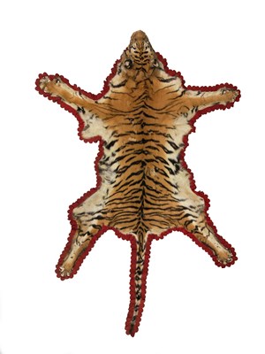Lot 349 - A tiger skin rug with head