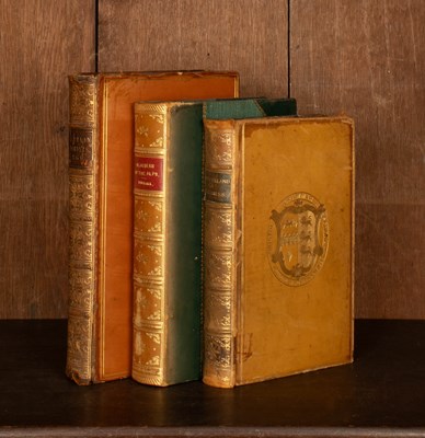 Lot 386 - [Alpine Travel and Topography]