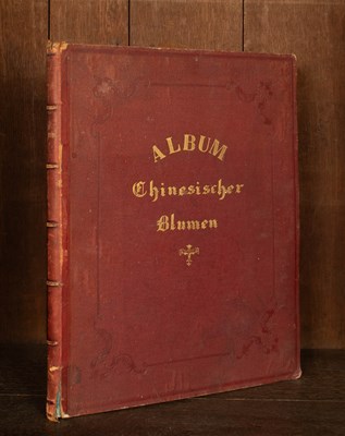 Lot 617 - Chinese Export School (19th Century) Botanical Studies