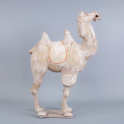Lot 243 - A Chinese Tang Dynasty (618-907AD) Bactrian pottery camel