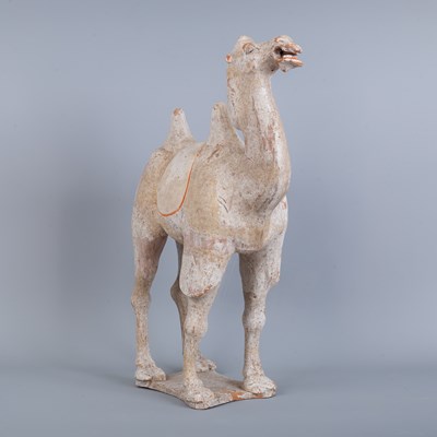 Lot 243 - A Chinese Tang Dynasty (618-907AD) Bactrian pottery camel