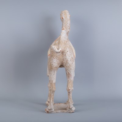 Lot 243 - A Chinese Tang Dynasty (618-907AD) Bactrian pottery camel
