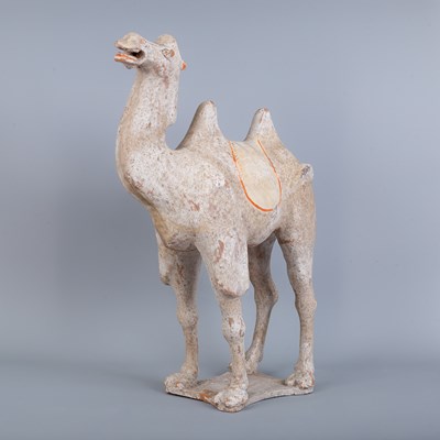 Lot 243 - A Chinese Tang Dynasty (618-907AD) Bactrian pottery camel