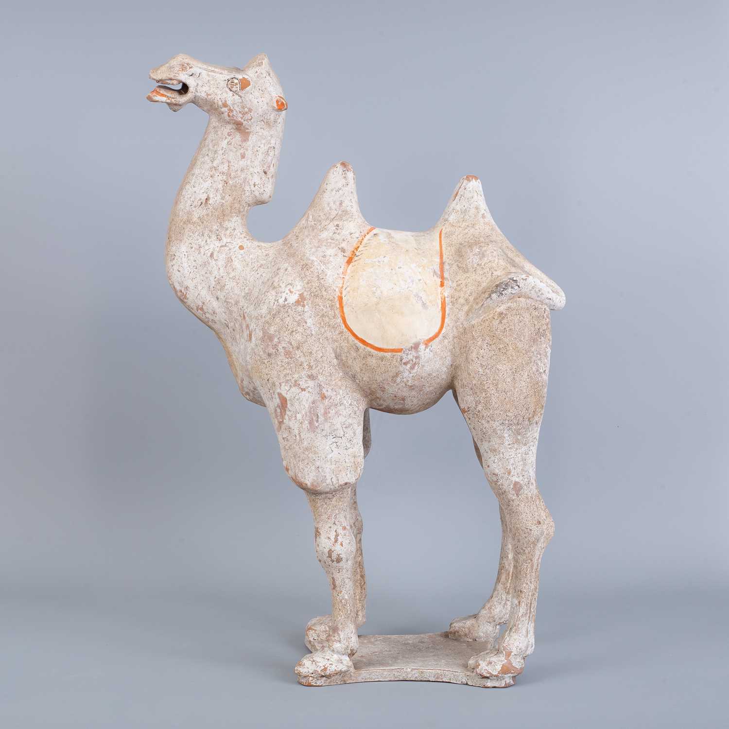 Lot 243 - A Chinese Tang Dynasty (618-907AD) Bactrian pottery camel