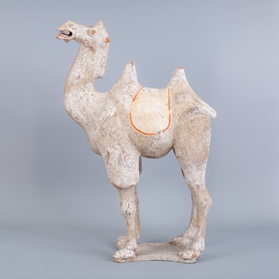 Lot 243 - A Chinese Tang Dynasty (618-907AD) Bactrian pottery camel