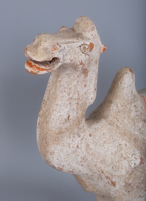 Lot 243 - A Chinese Tang Dynasty (618-907AD) Bactrian pottery camel