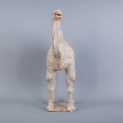 Lot 243 - A Chinese Tang Dynasty (618-907AD) Bactrian pottery camel