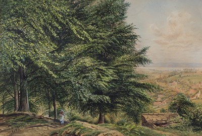 Lot 564 - Bonomi E Warren (fl. 1860-1900)