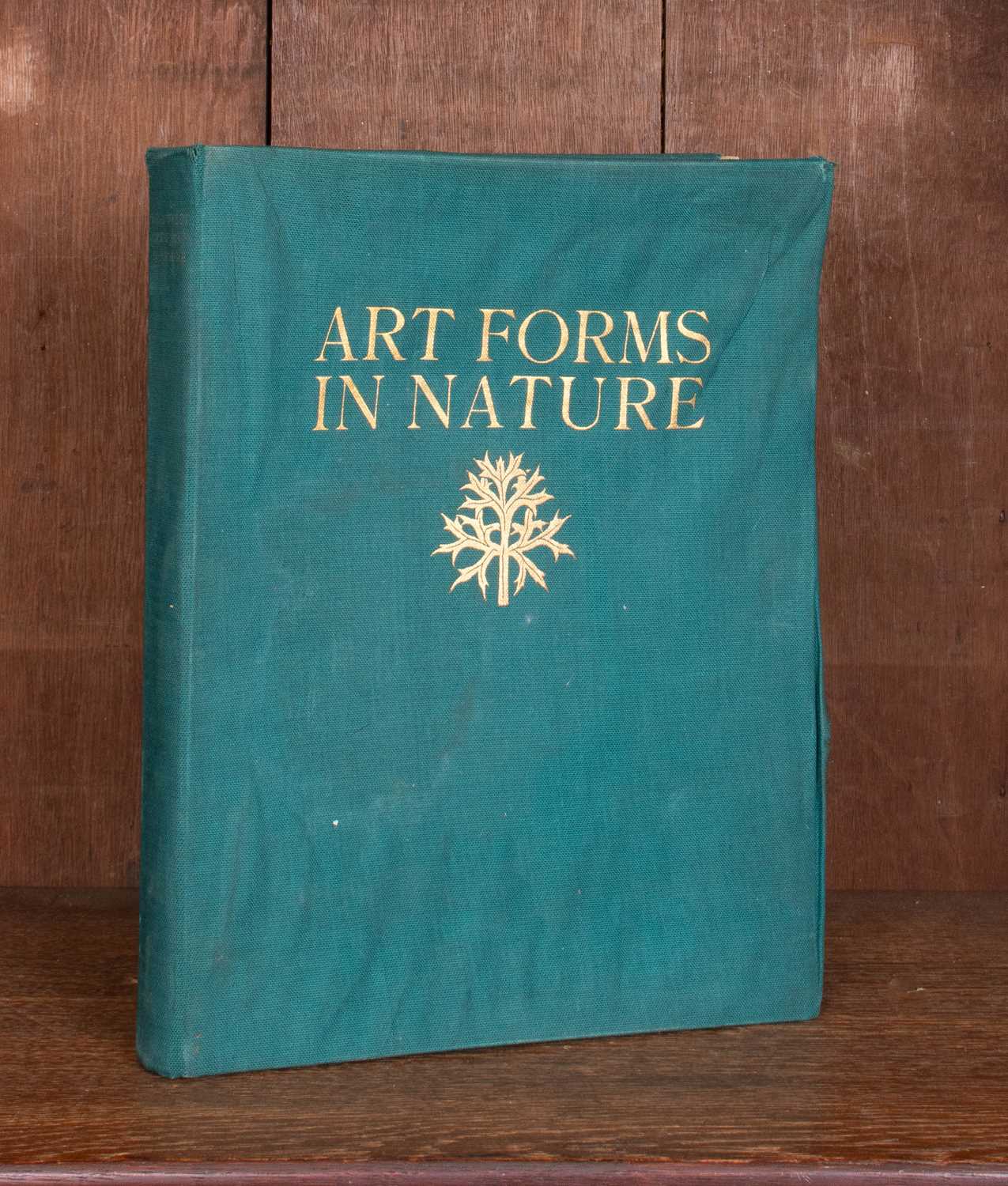 Lot 434 - Blossfeldt (Professor Karl) Art Forms in Nature