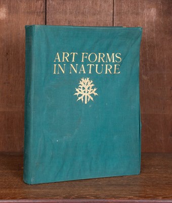 Lot 434 - Blossfeldt (Professor Karl) Art Forms in Nature