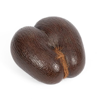 Lot 385 - A Coco de Mer
