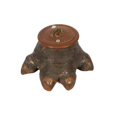 Lot 461 - A taxidermy African hippopotamus foot