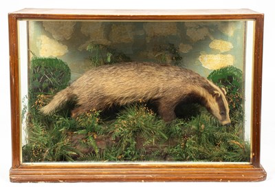 Lot 469 - A taxidermy cased Eurasian badger
