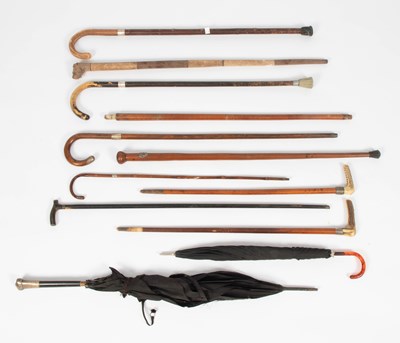 Lot 354 - A collection of walking sticks