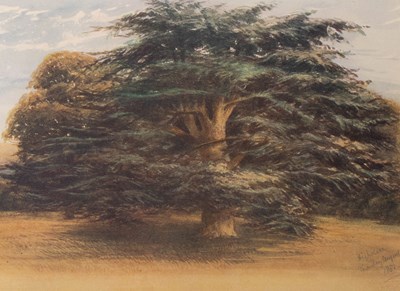 Lot 823 - Elwes (Henry John) The Trees of Great Britain & Ireland
