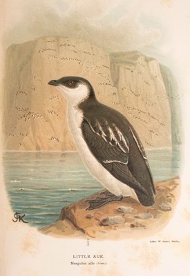 Lot 824 - Lilford (Thomas Littleton Powys, 4th Baron) Coloured figures of the Birds