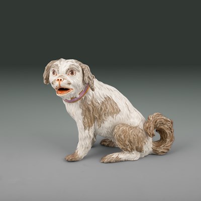 Lot 613 - A Meissen model of a Bolognese terrier