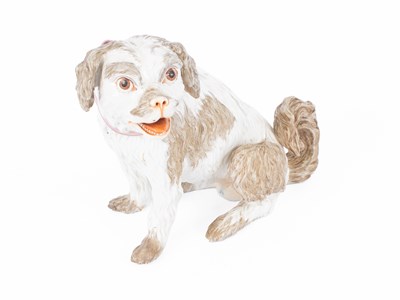 Lot 801 - A Meissen model of a Bolognese terrier