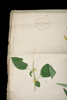 Lot Shaikh Zain-al-Din (fl. 1777–1782)