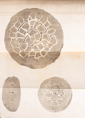 Lot 754 - Hutton (James) Theory of the Earth