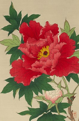 Lot 480 - Shodo Kawarazaki (1889-1973)