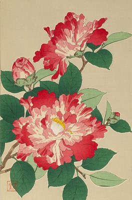 Lot 480 - Shodo Kawarazaki (1889-1973)