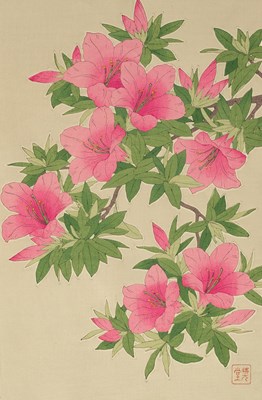 Lot 480 - Shodo Kawarazaki (1889-1973)