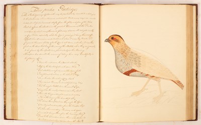 Lot 688 - Justice (Francis) Two Manuscript Volumes of British Birds after Nature